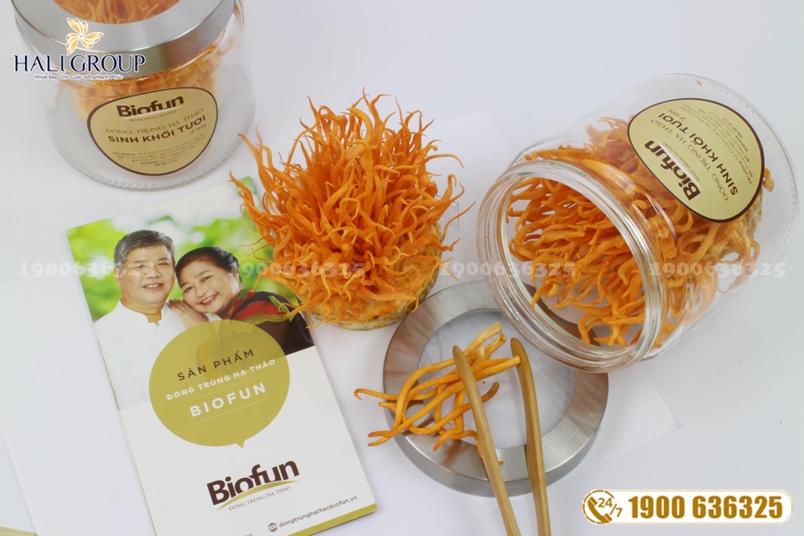 Đông Trùng Hạ Thảo Việt Nam Biofun - sản phẩm uy tín hàng đầu Việt Nam