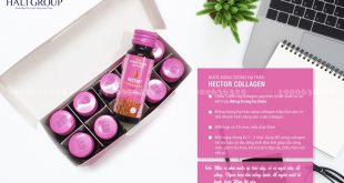 Bán Đông Trùng Hạ Thảo Hector chính hãng đại lý chính hãng