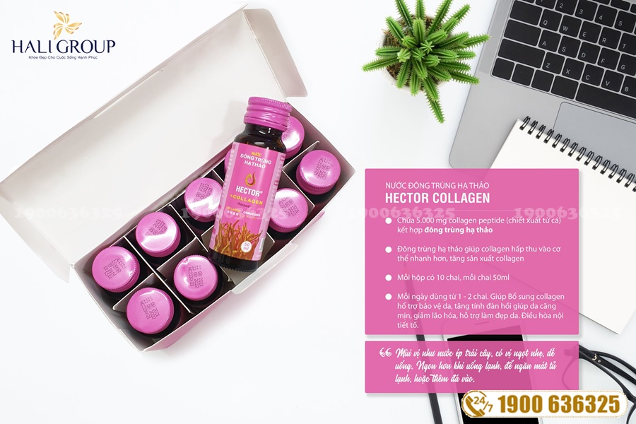 Bán Đông Trùng Hạ Thảo Hector chính hãng đại lý chính hãng