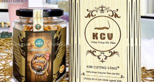 Bán đông trùng hạ thảo khô Kim Cương Vàng 10g chính hãng