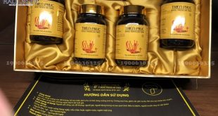 Nơi bán đông trùng hạ thảo nguyên con khô Thiên Phúc TP HCM