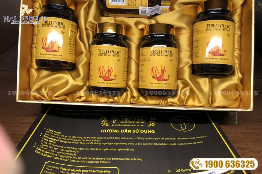 Nơi bán đông trùng hạ thảo nguyên con khô Thiên Phúc TP HCM