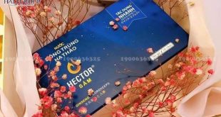 Mua Nước Hector Sâm ở Sài Gòn