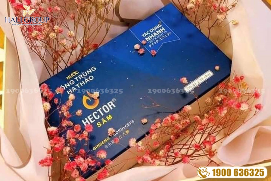 Mua Nước Hector Sâm ở Sài Gòn