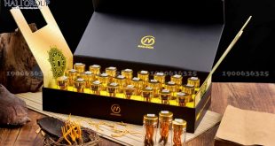 Cordyceps King - thực phẩm tuyệt vời cho sức khỏe của bạn