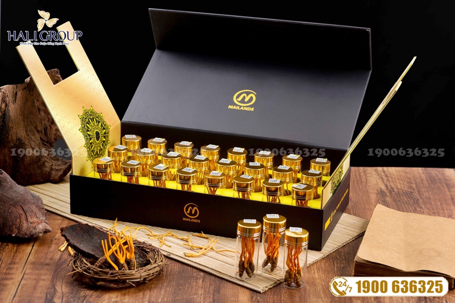 Cordyceps King - thực phẩm tuyệt vời cho sức khỏe của bạn