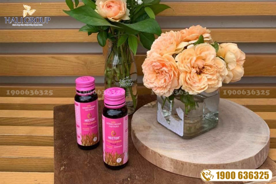 Nước Đông Trùng Hạ Thảo Hector Collagen - thực phẩm "vàng" cho sức khỏe của bạn
