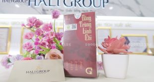 Đông trùng linh chi Ngọc Trinh chính hãng GHB - tăng cường sức khỏe mùa Covid
