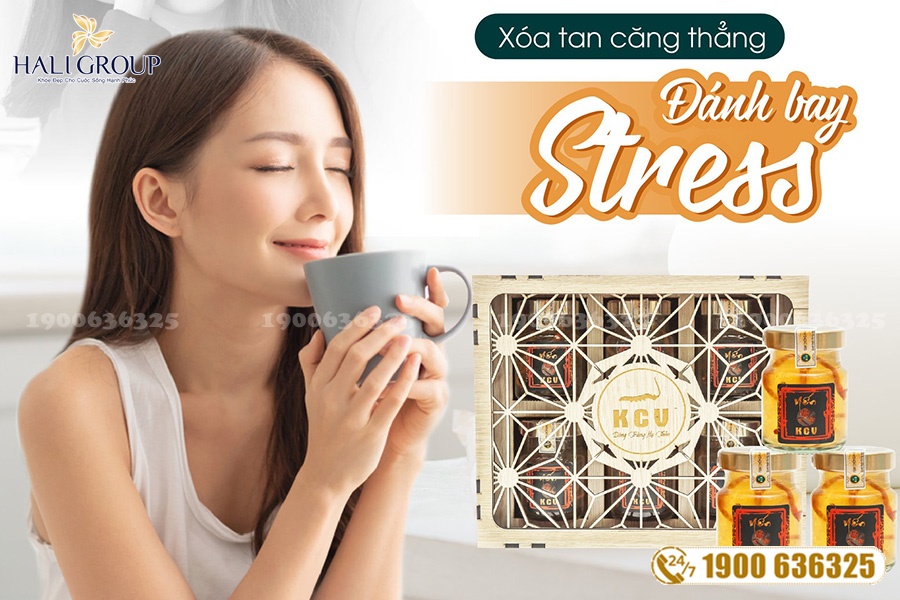 Cung cấp Yến Đông Trùng Kim Cương Vàng chính hãng